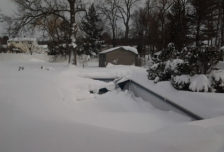 How to Keep Rodents Out of Pool Equipment During the Winter The Swimming Pool Store