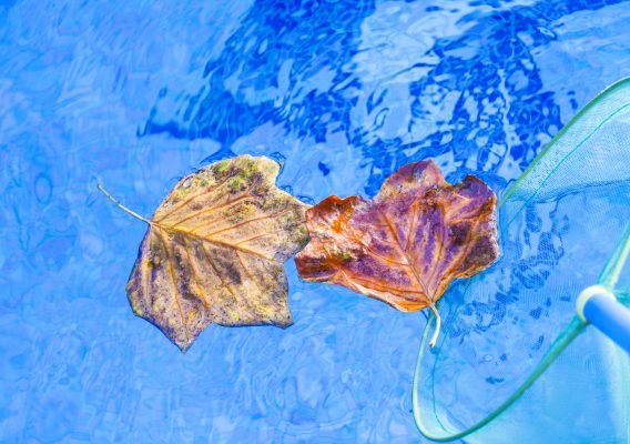 Last Minute Tips for Winterizing Your Pool