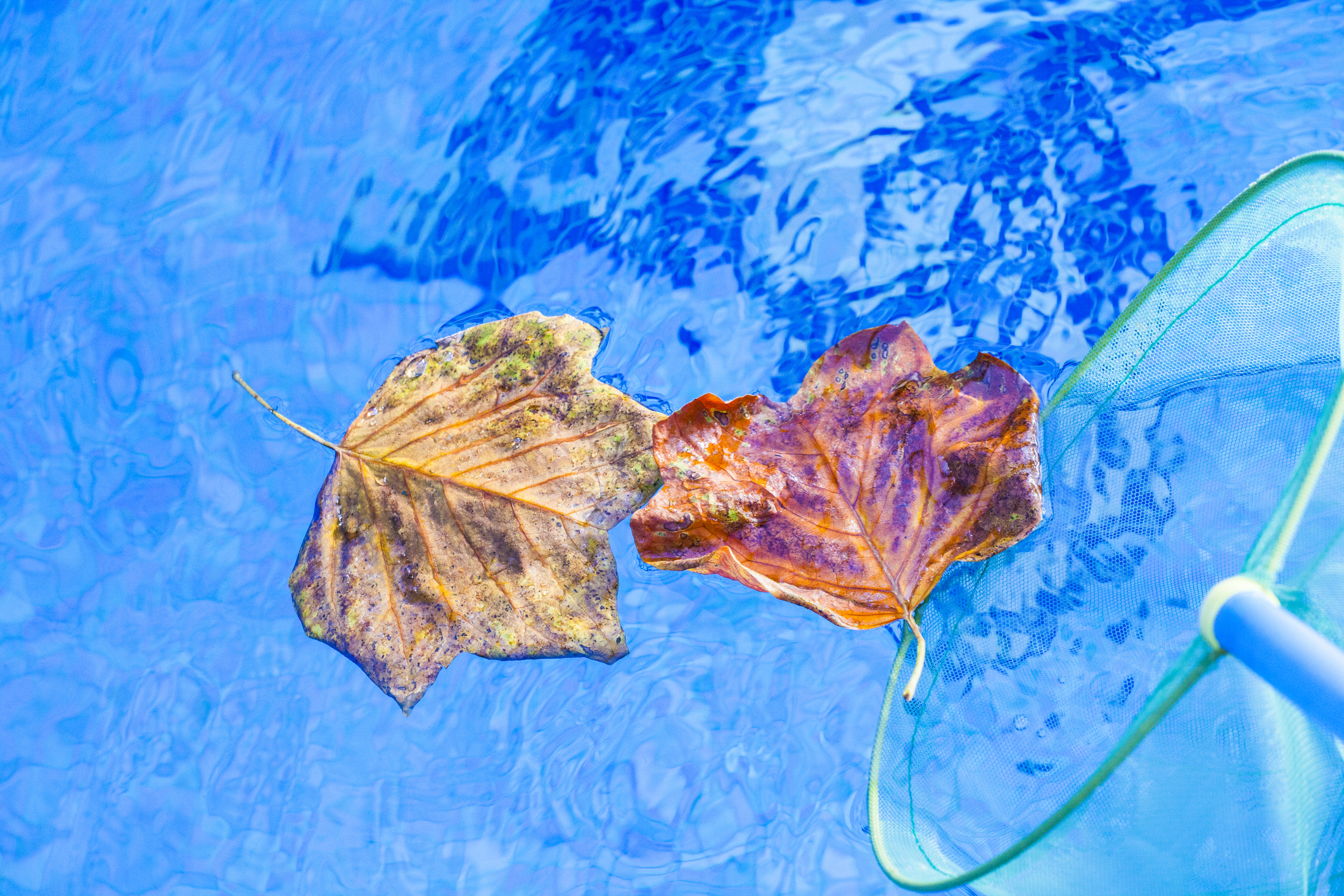 Last Minute Tips for Winterizing Your Pool